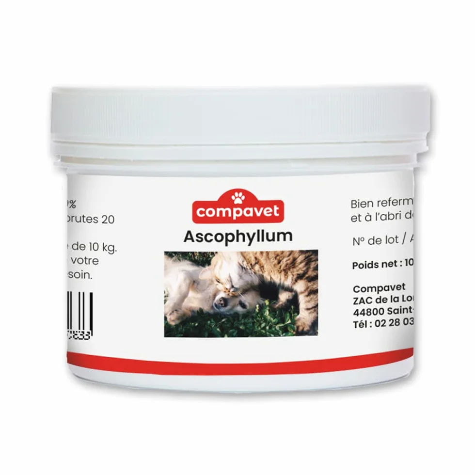 Ascophyllum nodosum in polvere - per cani e gatti - Igiene orale - Riduce la placca dentale e il tartaro, evita l'alito cattivo - Vasetto da 100 g - Sviluppato in Francia