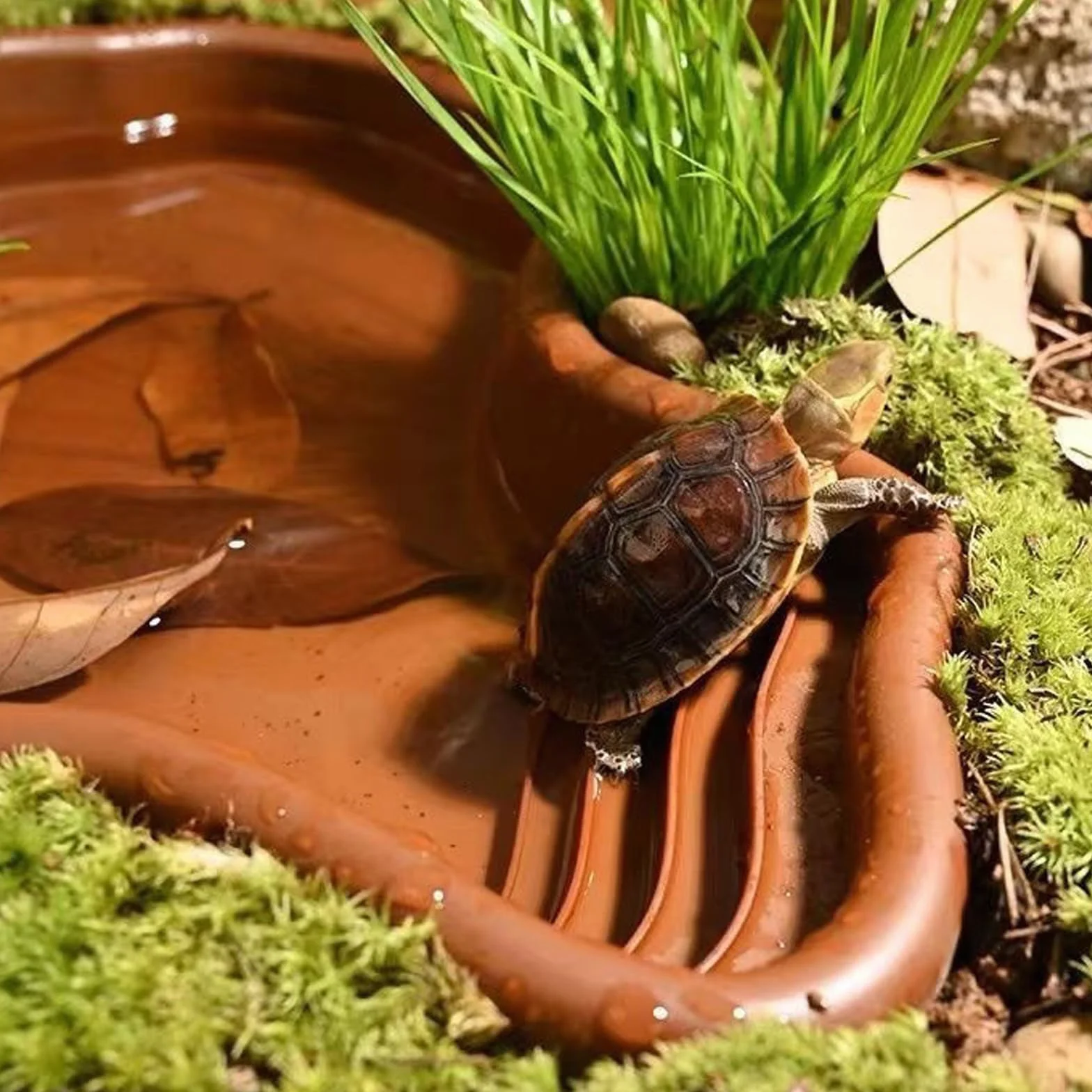 Vasca da bagno per rettili Piscina per Rettili Grande Piscina per Tartaruga Terrestre con Assorbitore d'acqua Manuale per Rettili Come Tartarughe, Lucertole, Serpenti