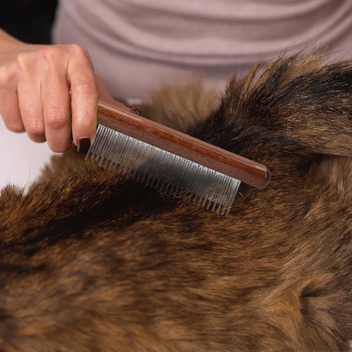 Pettine Antipulci Per Gatti - Pettine Antipulci Per Gatti | Pettine Antipulci Con Aghi In Acciaio Inossidabile Con Manico In Legno | Spazzola Per Toelettatura Di Animali Domestici Con Denti Densi