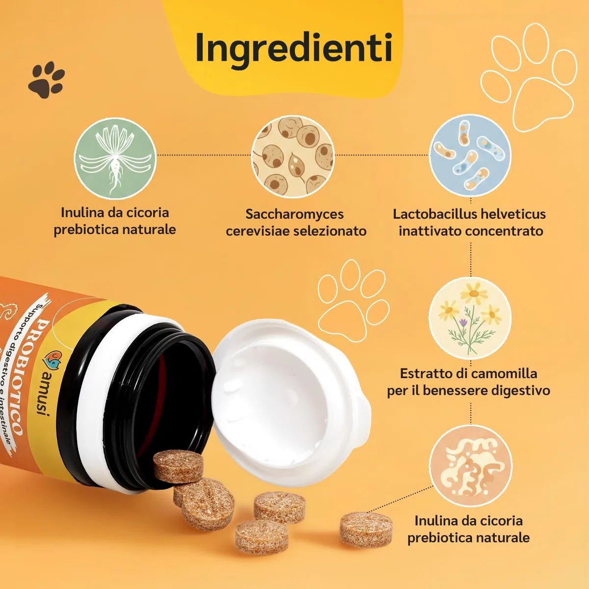 amusi Probiotici per Cani 30 Compresse con Fermenti Lattici Probiotici e Inulina – Mangime Complementare - Supporto per Intestino e Flora Intestinale, Aiuta la Digestione e l’Equilibrio intestinale