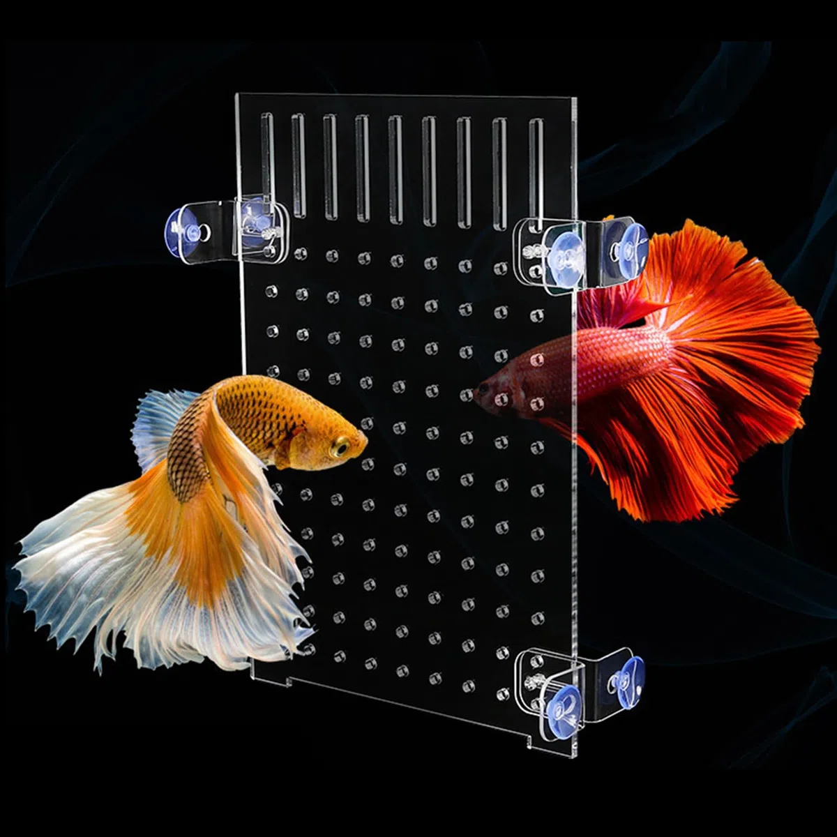 Divisori per Acquario in Acrilico Separatore per Acquario con Ventose Piatto Separatore di Pesce Trasparente per Acquari 30 x 25 cm