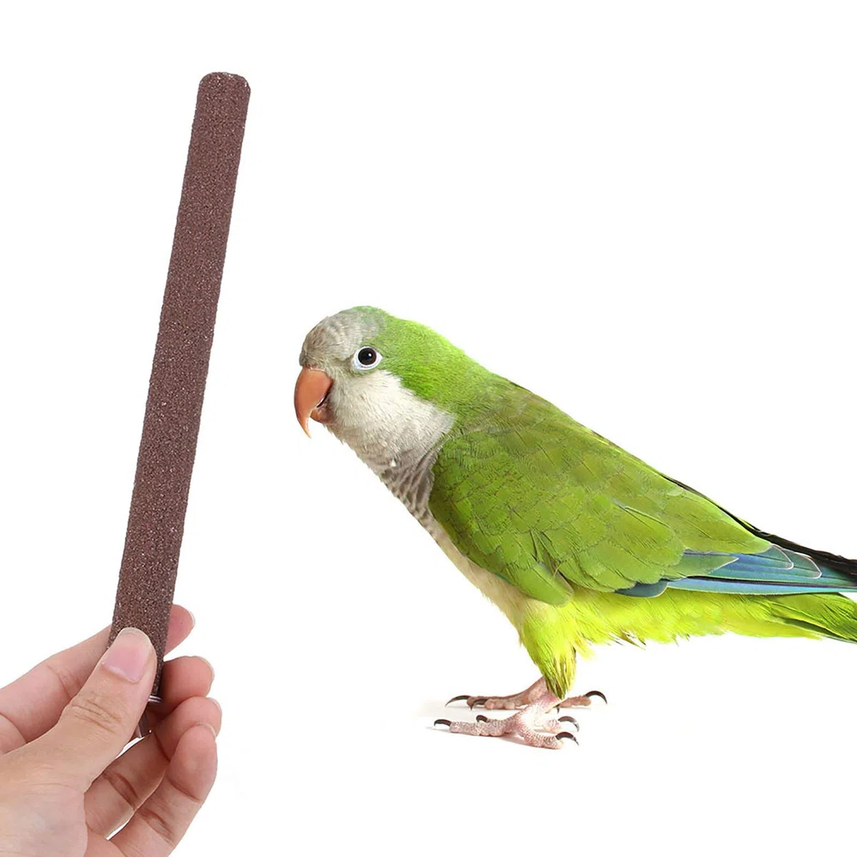 zalati Pappagallo posatoi 5pcs Birdcage Scrub Stand Bar Quarzo Sand Paw Stick per uccelli Zampa Rettifica Giocattolo - Colori casuali