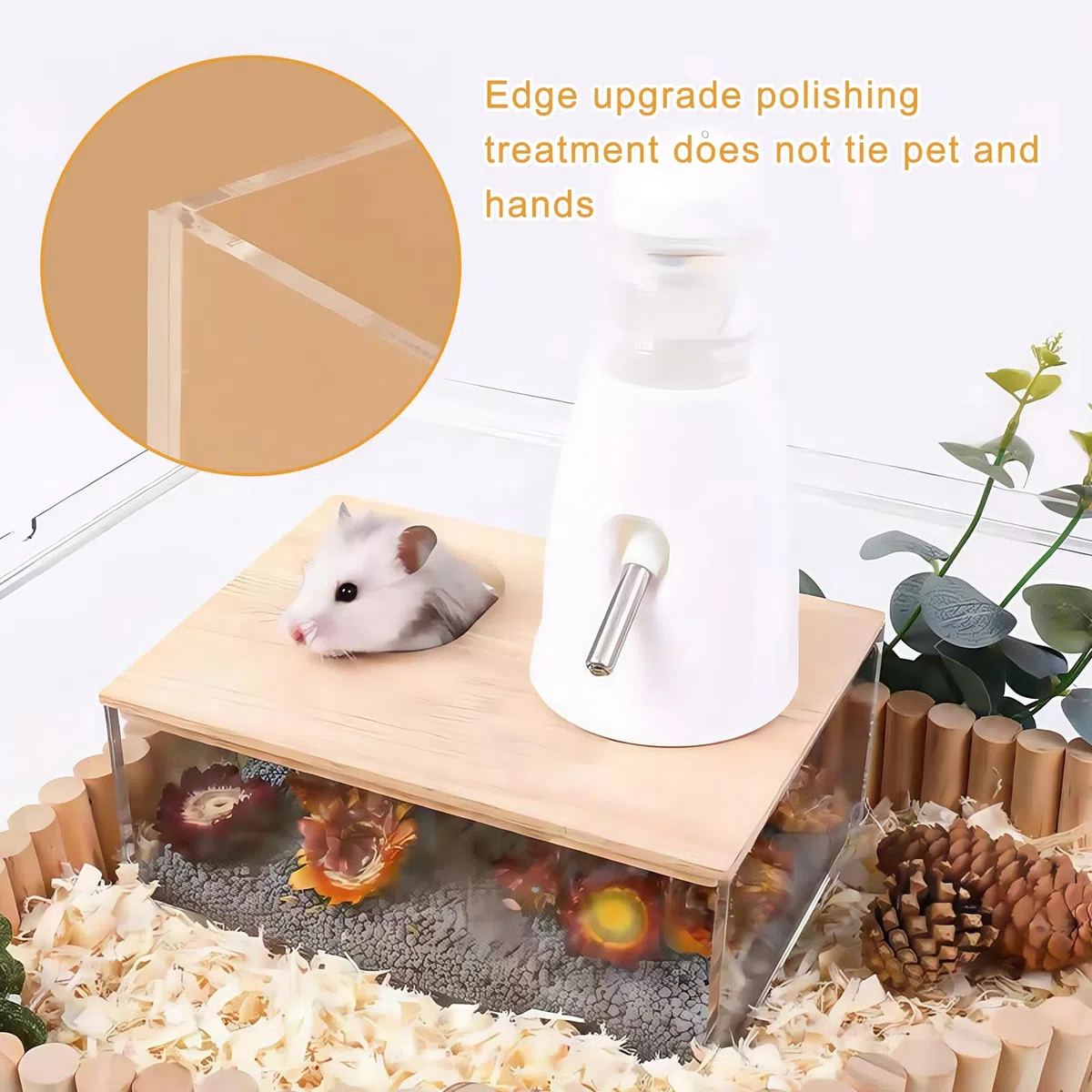 Bagno di Sabbia per Criceti con Copertura in Legno Massiccio, Doccia per Cincillà, Orsi Dorati, Gerbil (21 x 15,5 x 10 cm)