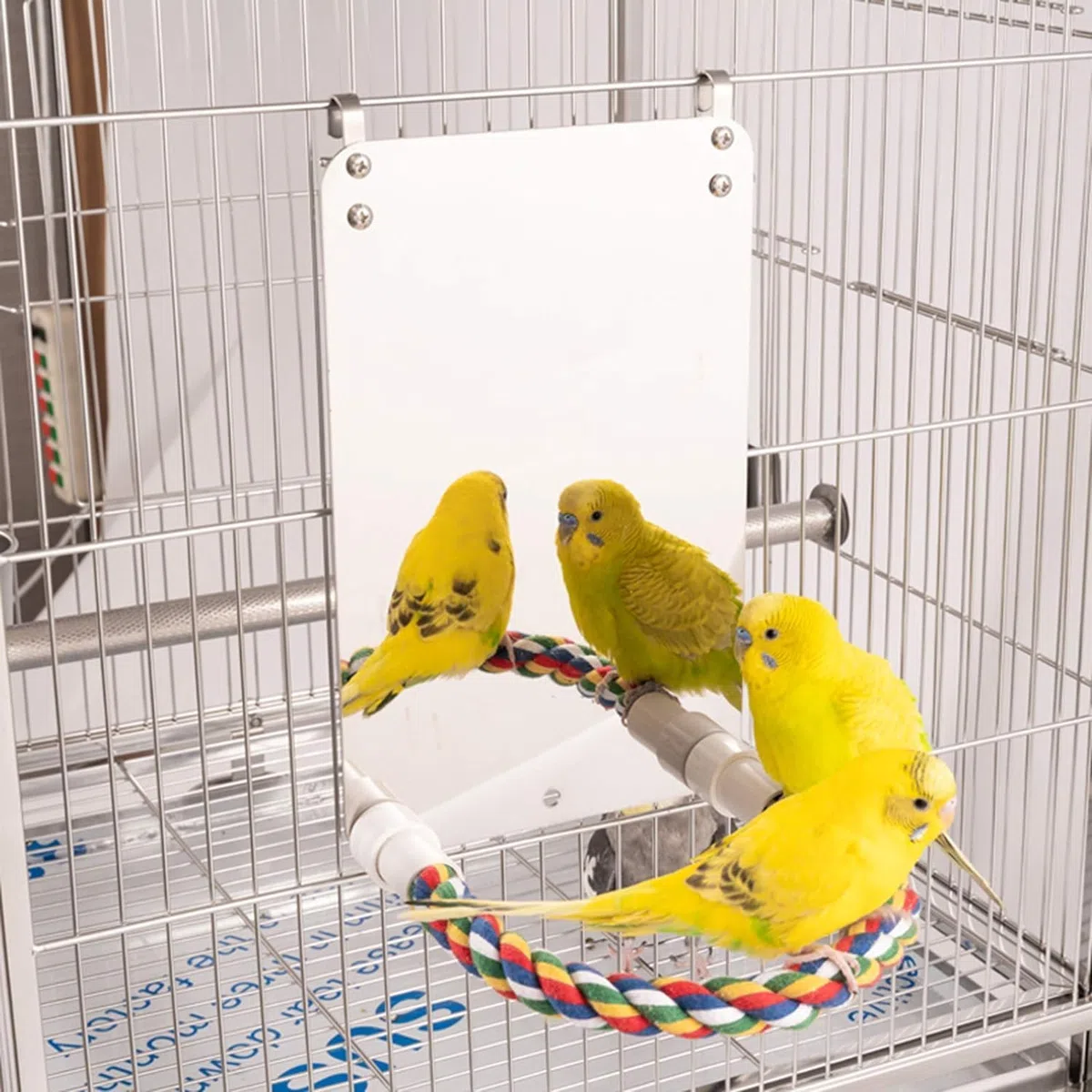 HYLYUN Specchio per uccelli da 17,8 cm con corda per calopsitta, per gabbia, giocattoli per uccelli, altalena, pappagallo, gabbia, giochi per parrocchetti, cacatua, calopsitta, conuro, inseparabili,