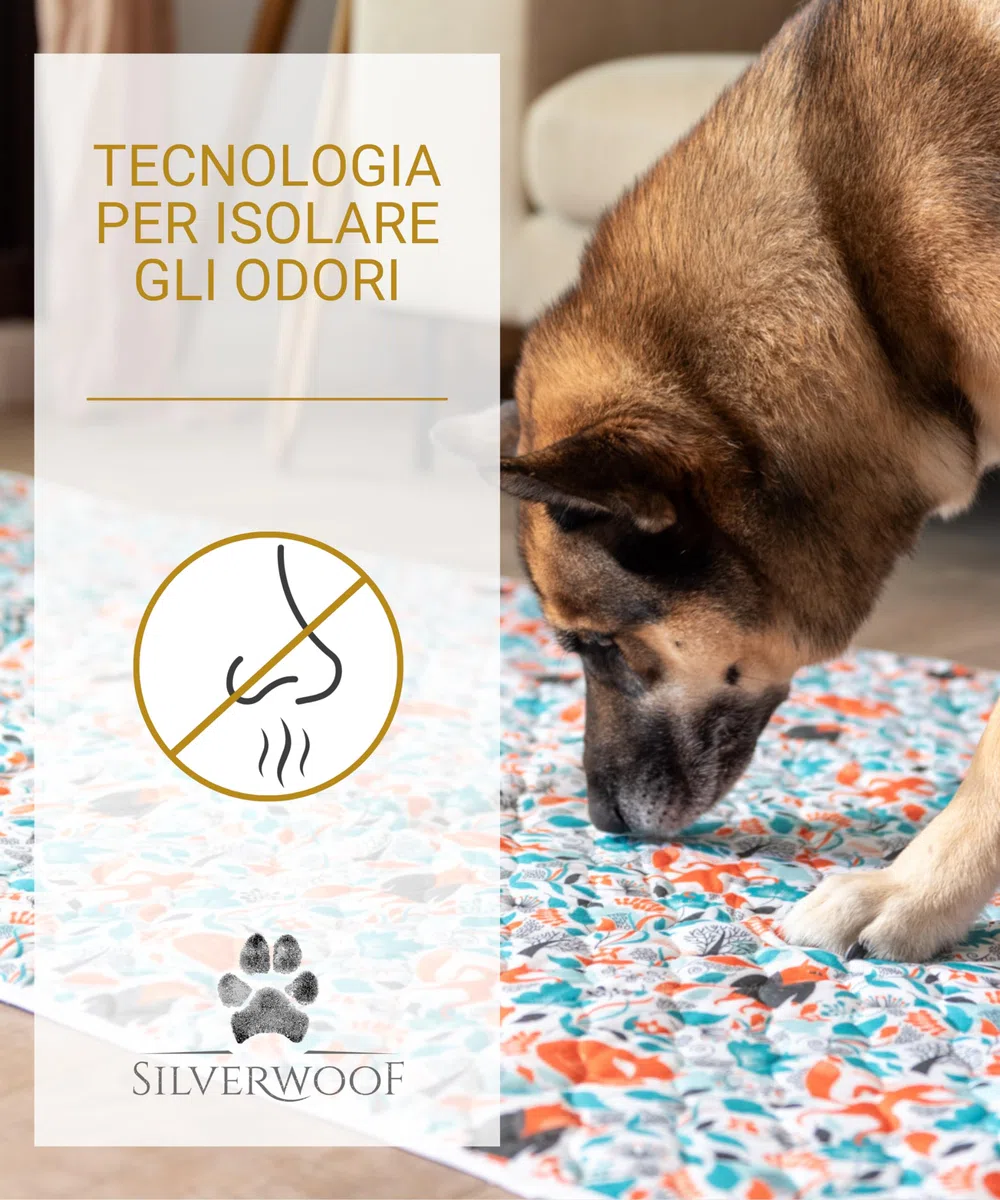 2x Tappetini igienici deluxe lavabili per cani piccoli - Assorbono il Doppio - Traversine assorbenti per cani riutilizzabili e impermeabili per cuccioli - Antiscivolo e Anti Odore 70x50cm