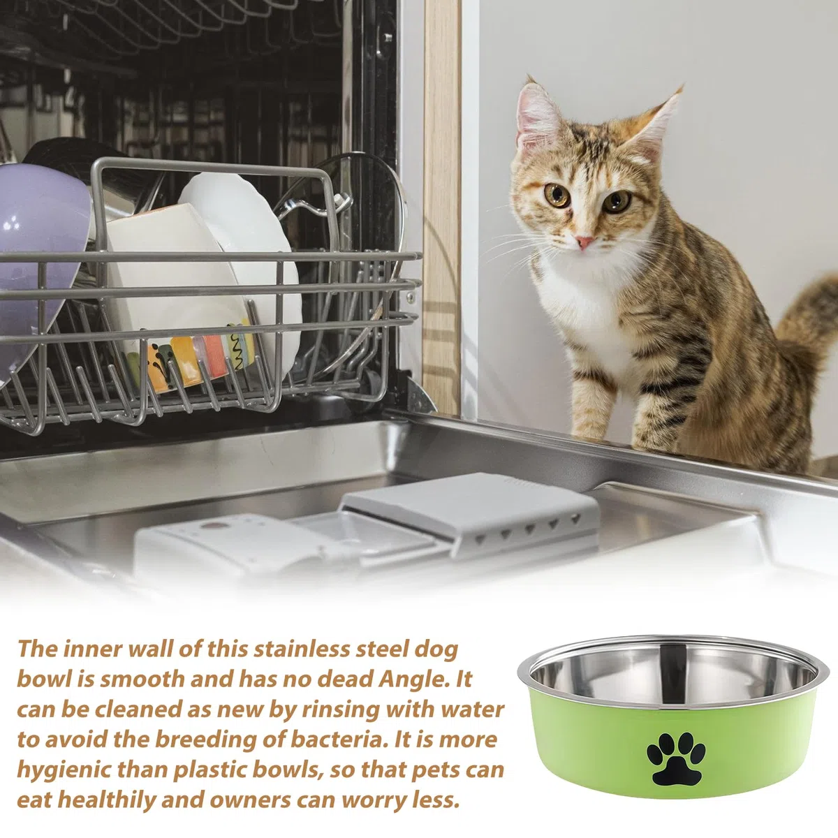 Ciotola per Cani in Acciaio Inox: 4 Ciotole Antiscivolo per Cani e Gatti in Diversi Colori con Fondo in Gomma Antiscivolo, 850ml Ciotola per Animali e Acqua