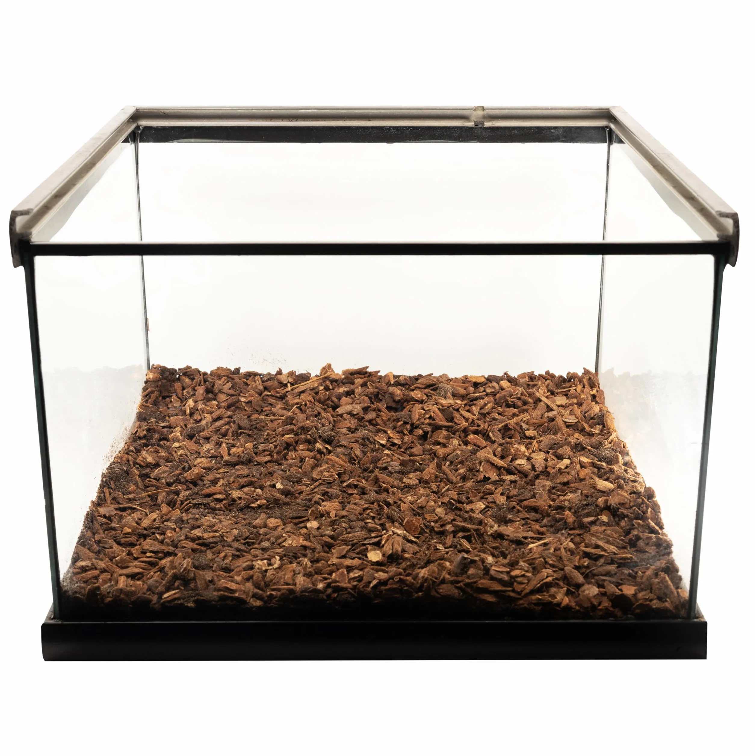 Zoo Med Repti Bark - Decorativo per terrario, Corteccia naturale di abete a pezzatura piccola, riutilizzabile, 8,8 L