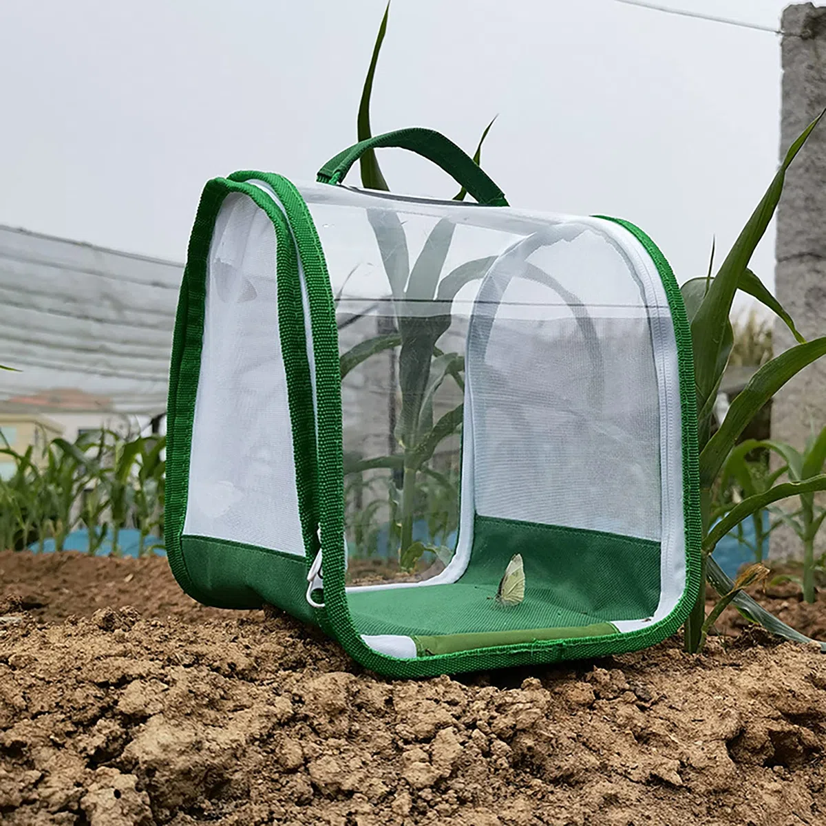 Gabbia di Osservazione Degli Insetti Trasparente a 360 Gradi - Pieghevole Portatile per Farfalle e Insetti - Con Manico e Cerniera per Osservazione Della Natura