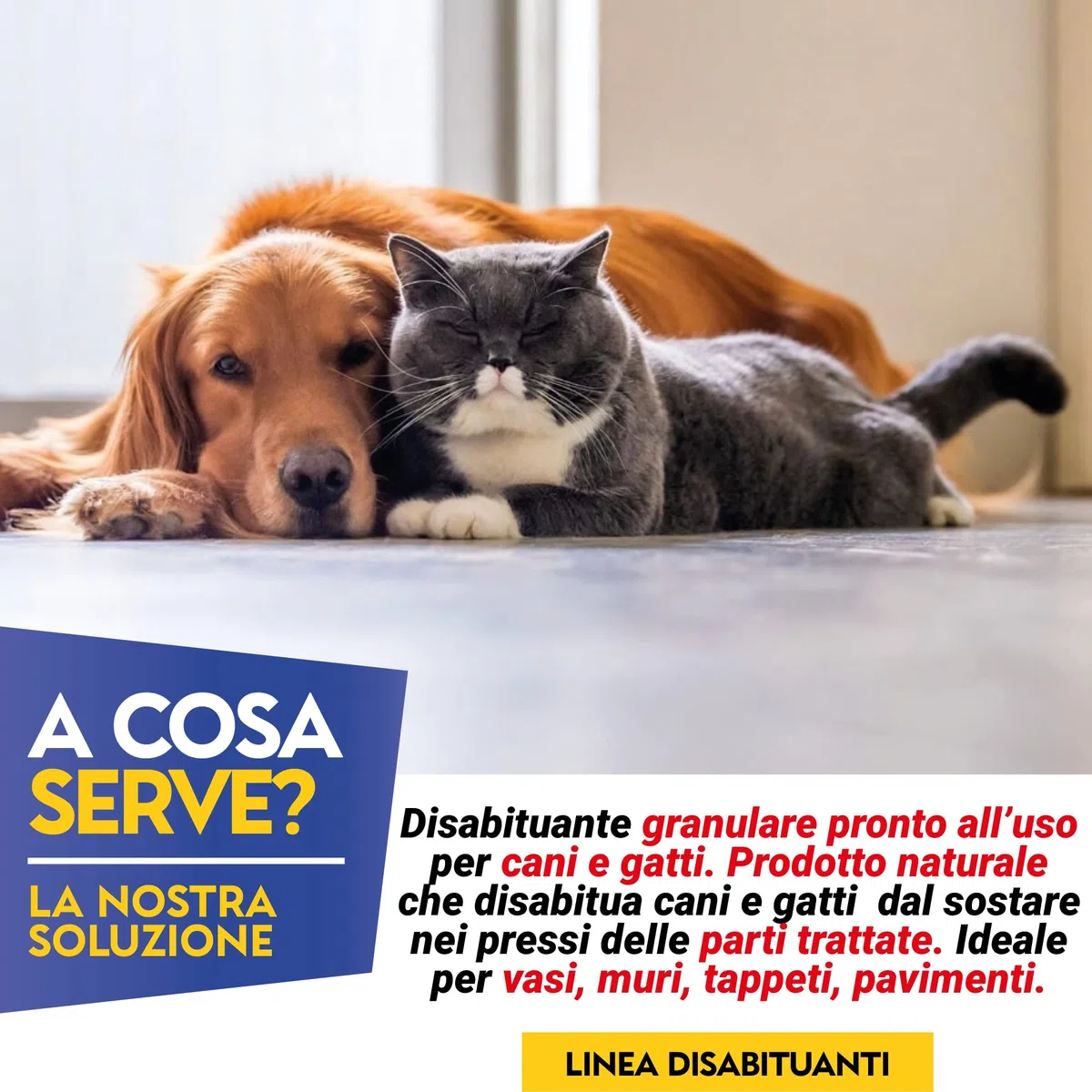 Albagarden - Disabituante Gatti E Per Cani - Repellente E Barriera Olfattiva Naturale Contro Le Cattive Abitudini Pipì - Scaccia Animali Domestici Senza Veleno Ed Ultrasuoni - Granulare X 1 Litro
