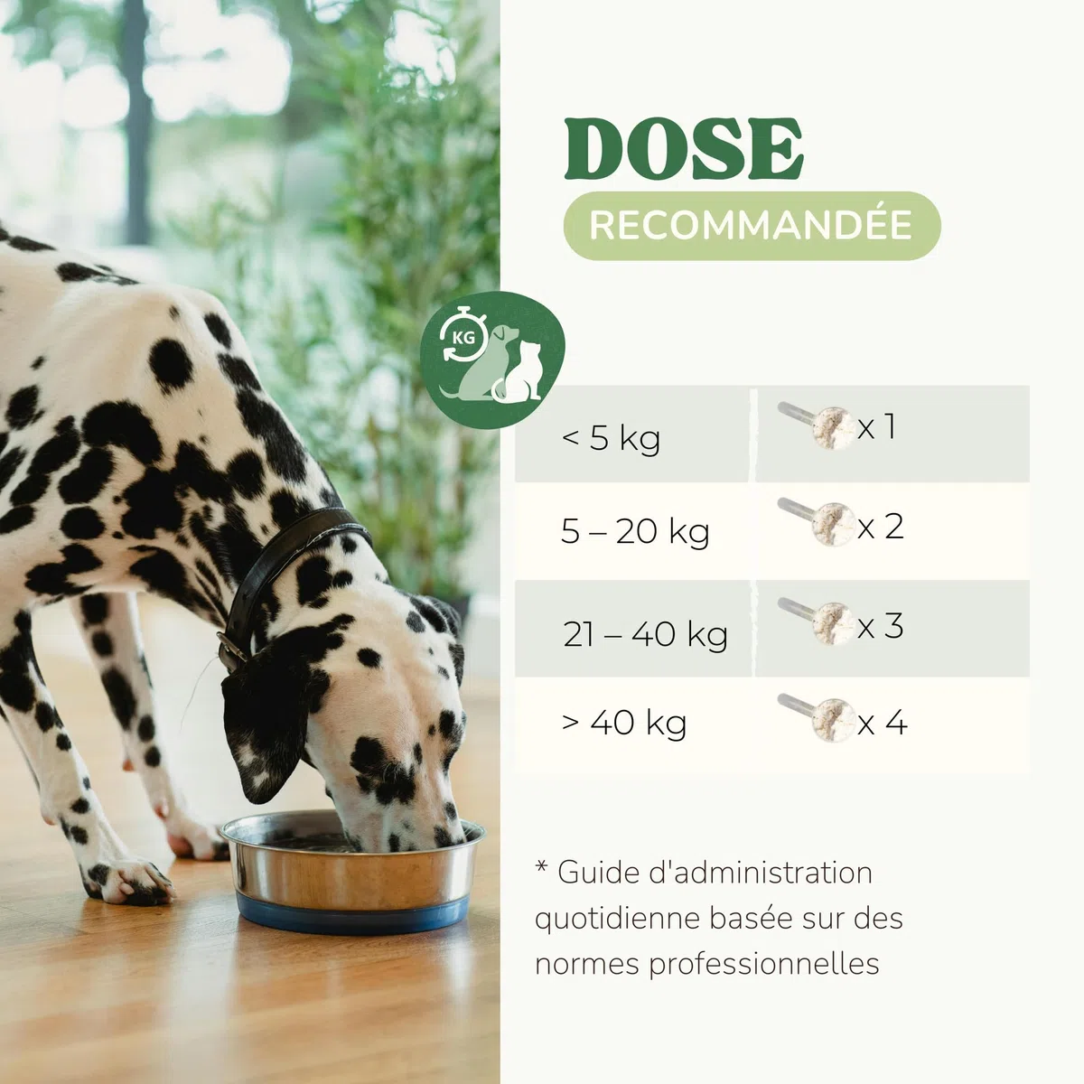 Integratore Naturale per Pulizia Denti Cane e Gatti con Alghe Kelp per Migliorare Alito Cane Cattivo, Polvere Sciogli Tartaro Cane di Sapore Gradevole, Alternativa a Spazzolino Per Cani