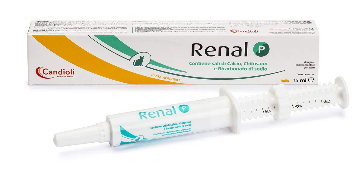 Renal P Pasta 15 ml