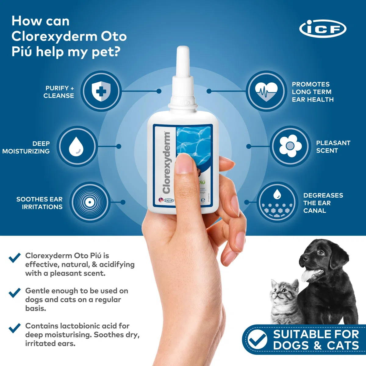 Clorexyderm Oto Più 150 Millilitri – Soluzione Potenziata per la Pulizia delle Orecchie di Cani e Gatti – Igiene Profonda in Caso di Sporco Persistente