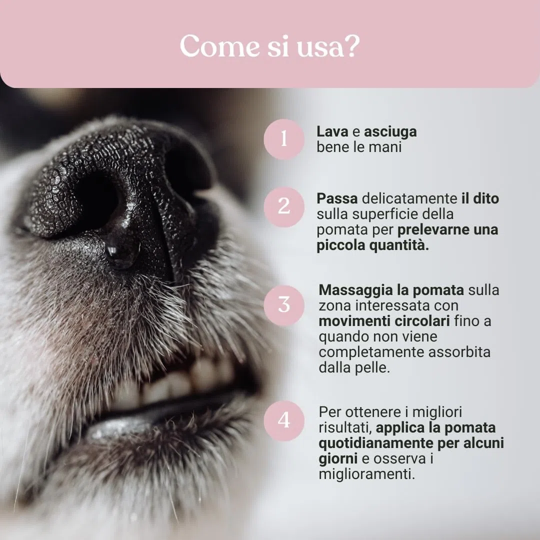 Bau Pomata Naso Cane Naturale – Balsamo per Tartufo Secco e Screpolato con Burro di Karité, Olio di Canapa Bio e Vitamina E – Trattamento Idratante e Protettivo per Uso Quotidiano