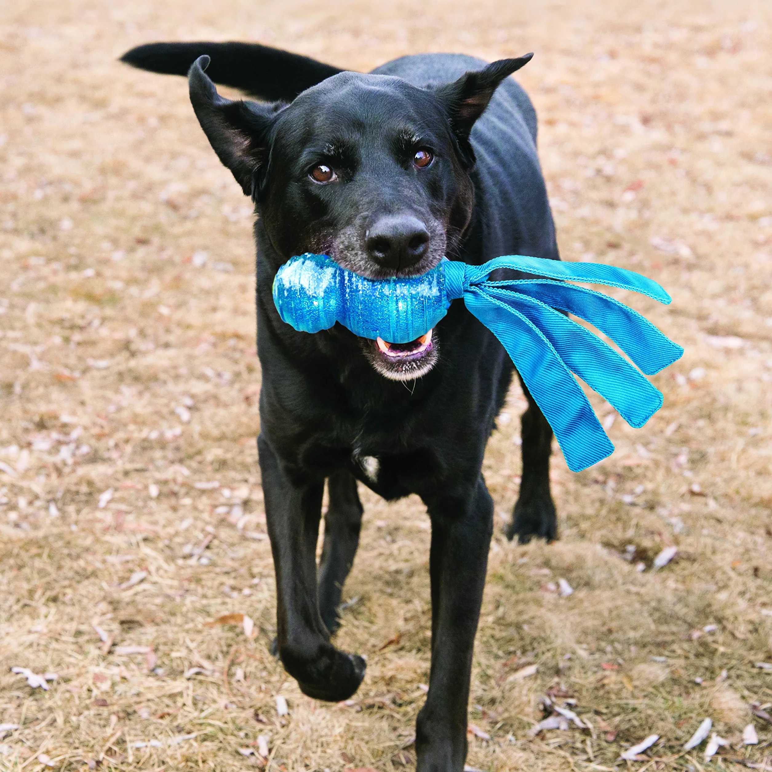 KONG Wubba Comet,