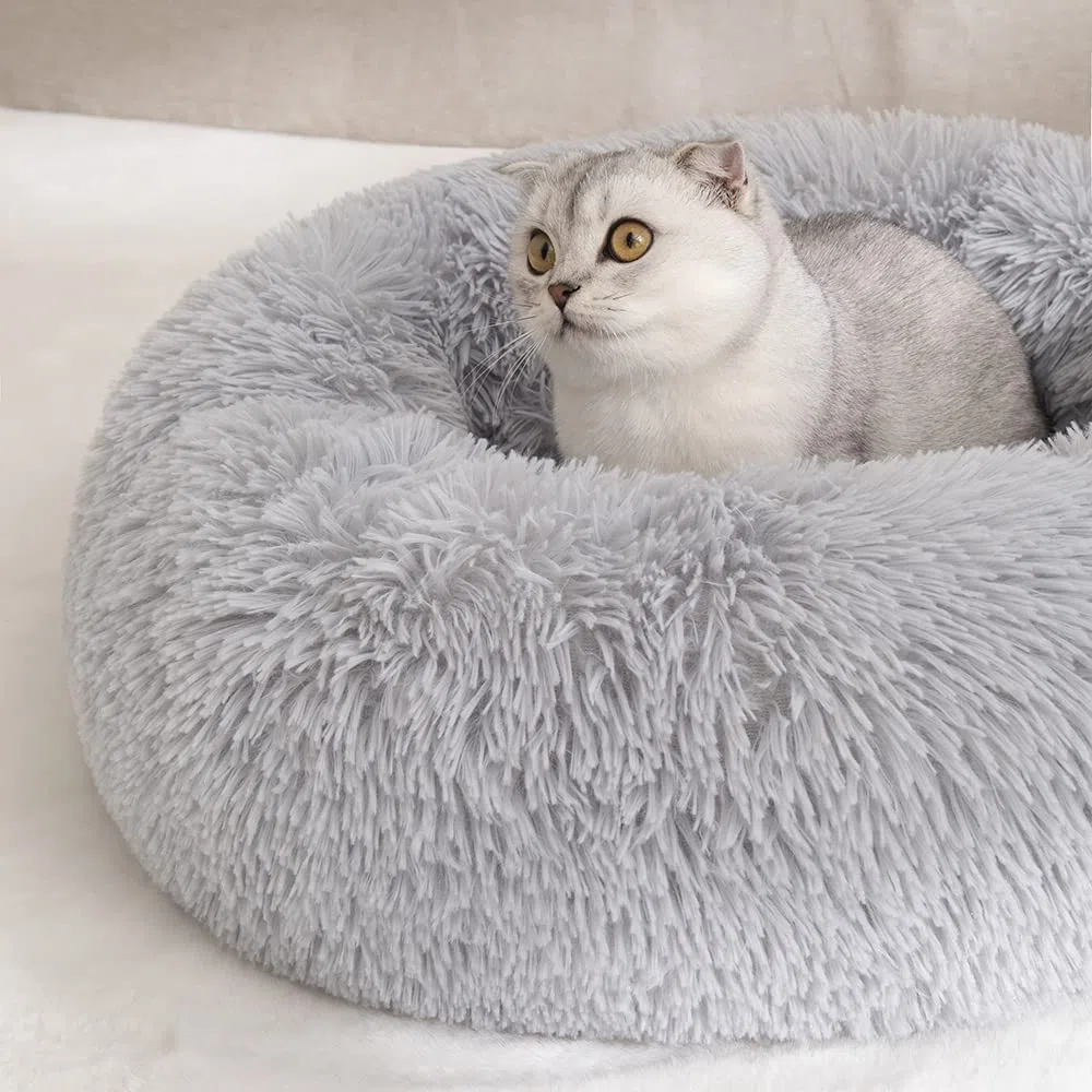 Letto per gatti Letto per cani Letto per animali domestici Letto per gatti Letto per cani Divano per gatti Divano per cani Divano per animali domestici Divano per gattini Cuscino Morbido