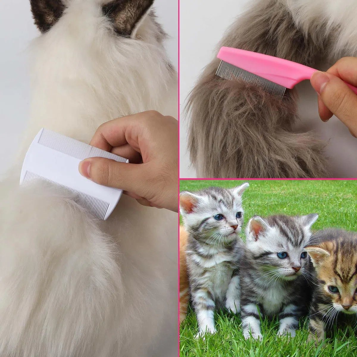 NQEUEPN 4pz Pettine Antipulci Cani Gatti, Denti Fini Pettine per Pidocchi Rimozione Macchie Lacrime Plastica Acciaio Inossidabile Pulizia Magica Peli Domestici Strumenti Toelettatura Spazzola(Rosa)