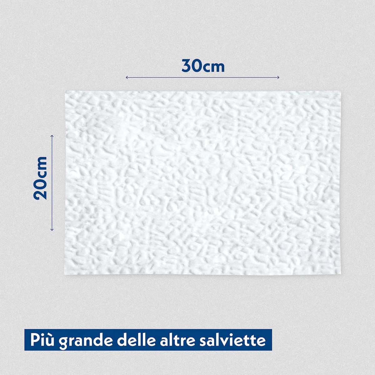 Amore Mio | 200 Salviette Acqua Extra Large per Il Manto di Cani, Gatti e Animali Domestici, Disinfettanti e Igienizzanti, 30x20 cm - 5 Confezioni da 40 Salviettine