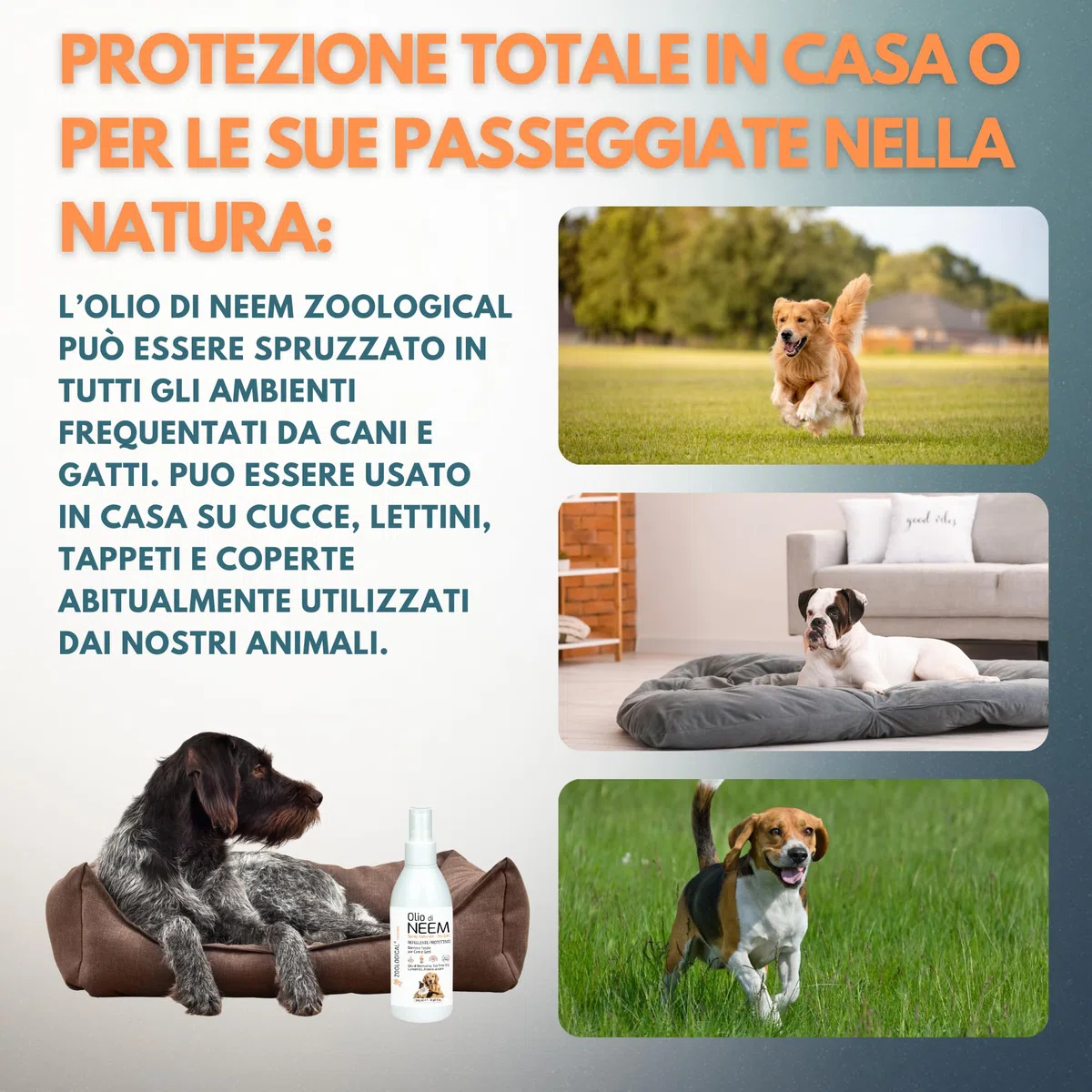 Olio di Neem per Cani e Gatti Spray 265ML - Protettivo Naturale, Antiparassitario, Repellente contro Parassiti, Zecche, Pulci, Zanzare e altri Insetti - Made in Italy