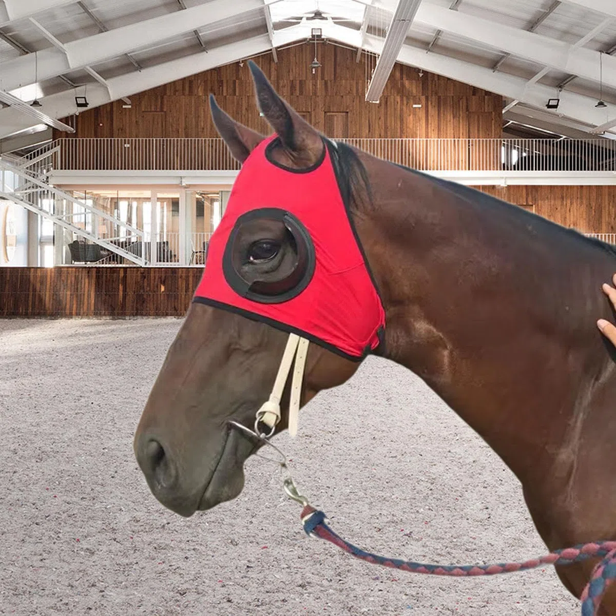 Occhiali da Cavallo, Paraocchi per Cavalli, Sostituiscono Attrezzature Ad Alte Prestazioni, Maschera Anti- Portatile di, Occhiali D, Rosso