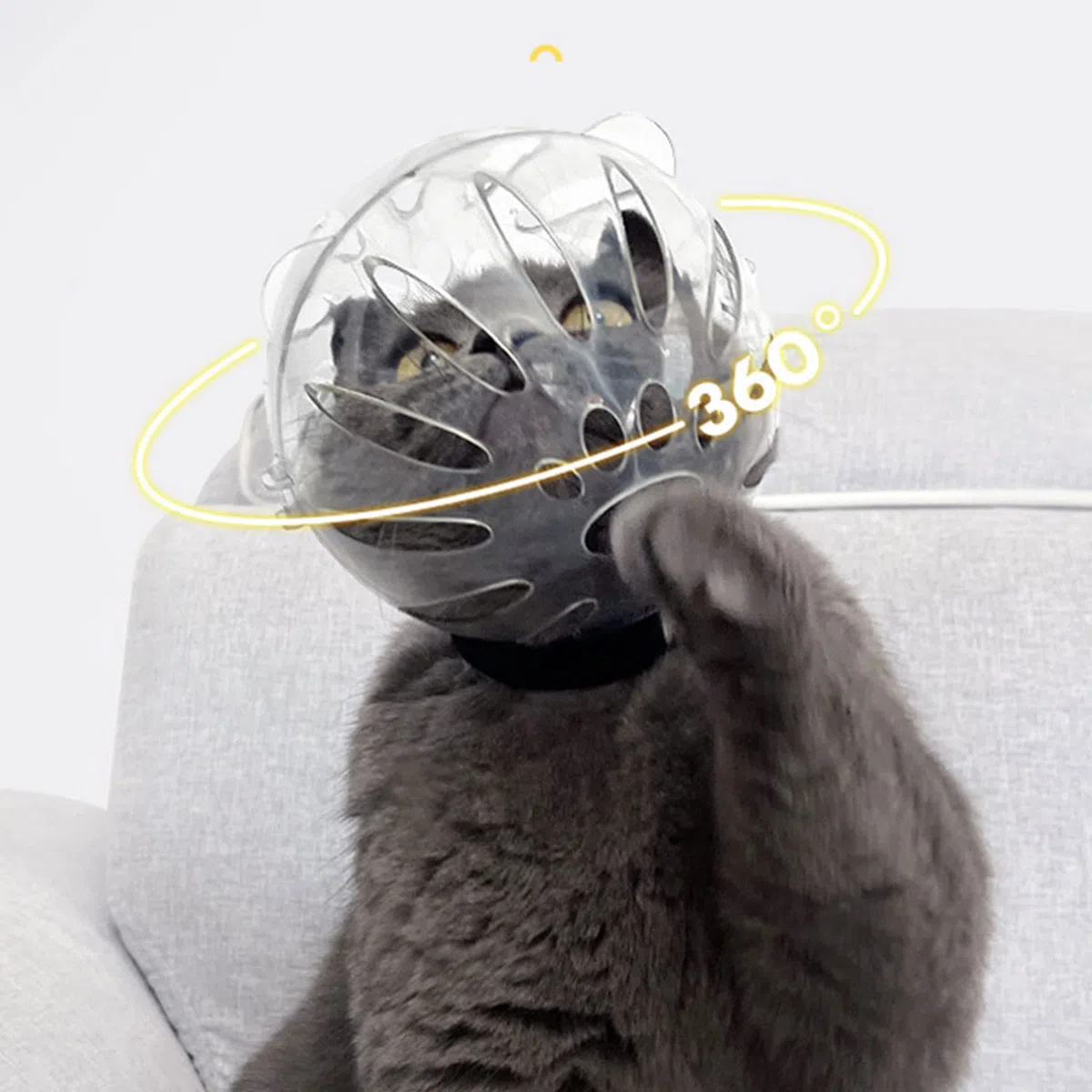 Casco per il recupero degli animali domestici, anti-leccato/anti-morso, traspirante, casco per la toelettatura del gatto