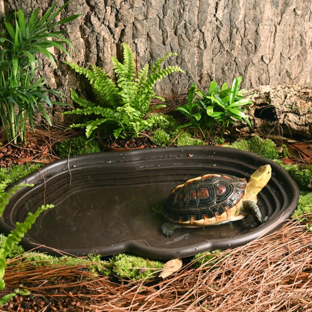 Vasca per rettili extra large, ciotola per acqua con rampa, decorazione per acquario per gechi, serpenti, tartarughe, draghi barbuti, lucertole (nero)