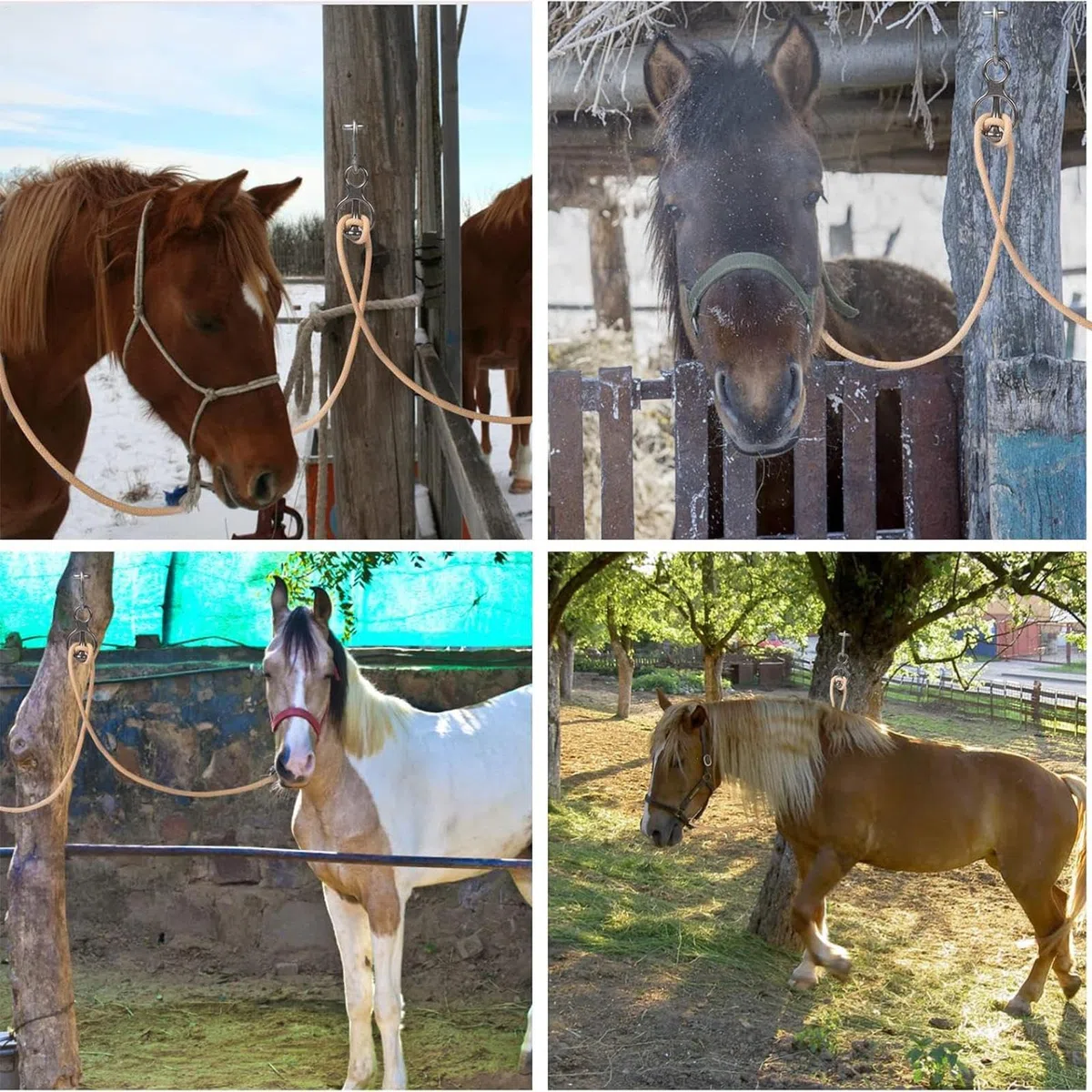 Generisch Horse Tie Ring – Accessori per stoviglie per cavalli in acciaio inox, redini sicuri e accessori per cavalli | Per stalle, maneggio, lavanderia, pascoli, percorsi d'equitazione, aree di
