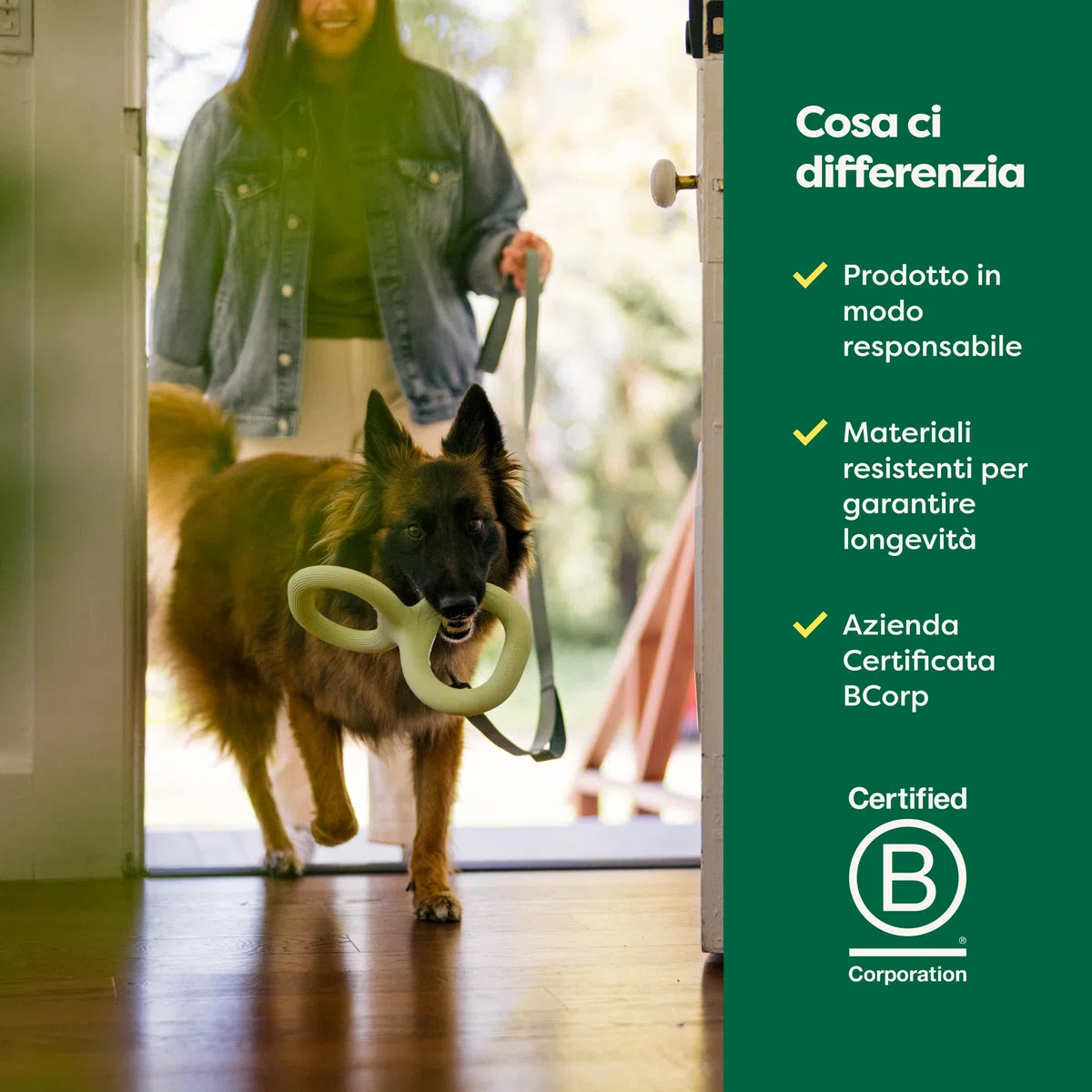 Earth Rated Tug of War - Giocattolo interattivo per cani adulti e cuccioli, impugnatura ergonomica, gomma naturale, piccolo, verde