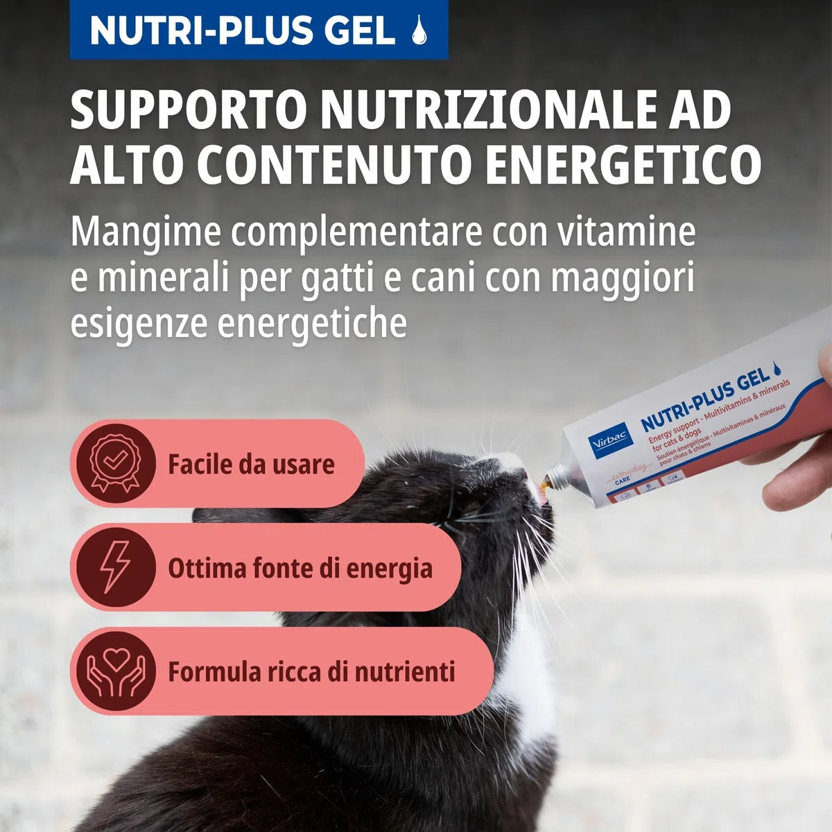 Virbac Nutri-Plus Gel | 120 g | Alimento complementare dietetico per cani e gatti | Fonte di energia concentrata