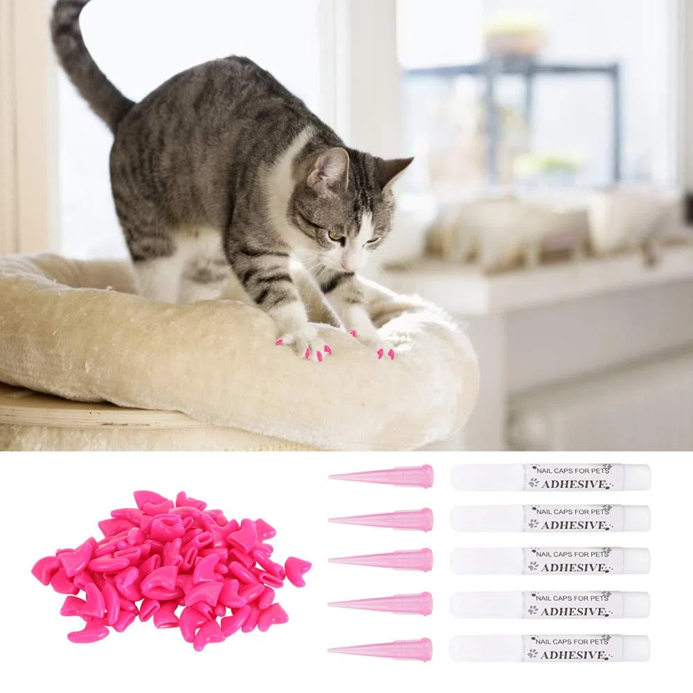 Copriunghie per Gatti, Resistente, Morbido, in PVC, per Toelettatura e Protezione AntiGraffio, Adatto per Gatti, 100 Pezzi, Rosa Rosso Azzurro XS-L (S)