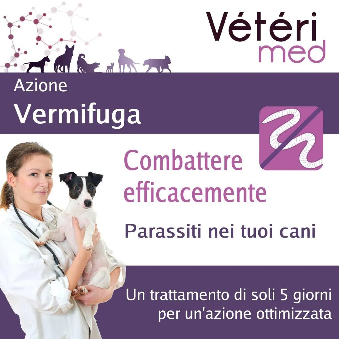 Compresse vermifughe naturali e gustose per la salute intestinale dei cani – Produttore autorizzato dall'Ufficio veterinario francese – Prodotto in Francia – 15 compresse