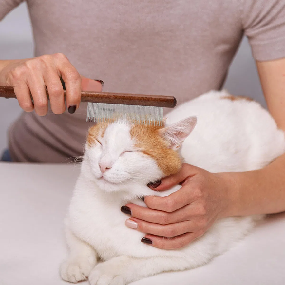 Pettine Antipulci Per Gatti - Pettine Antipulci Per Gatti | Pettine Antipulci Con Aghi In Acciaio Inossidabile Con Manico In Legno | Spazzola Per Toelettatura Di Animali Domestici Con Denti Densi