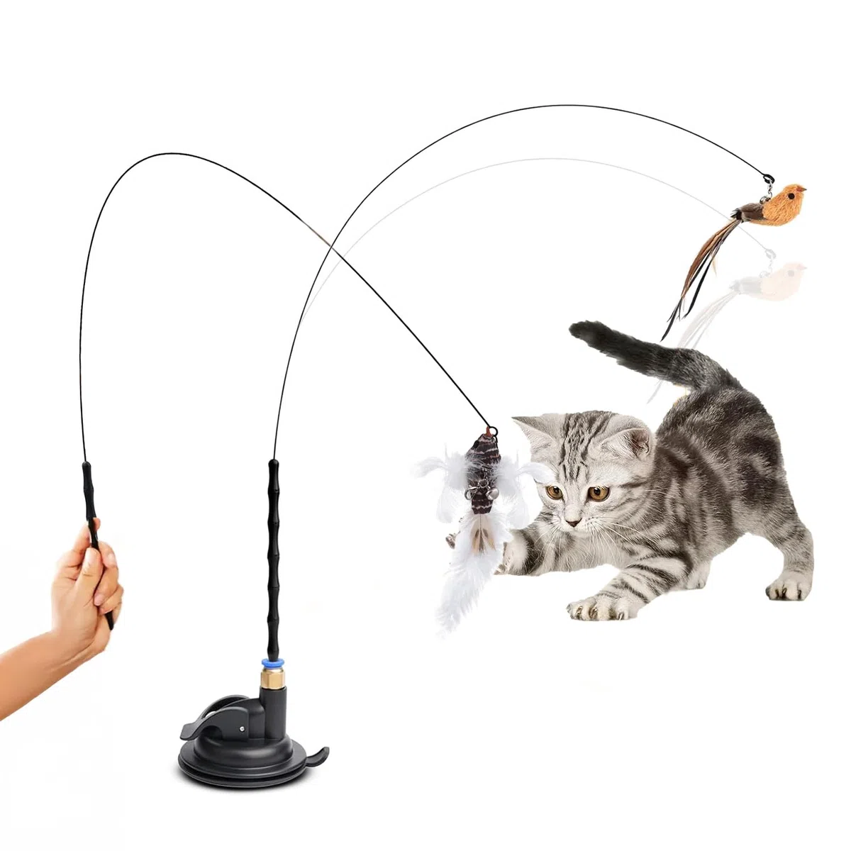 Avilia - Giochi per Gatti con Base Antiscivolo e Asta Flessibile, Gioco Interattivo con Piume e Uccellino, Stimola Istinto di Caccia, Ideale per Uso Domestico, Struttura Resistente e Sicura