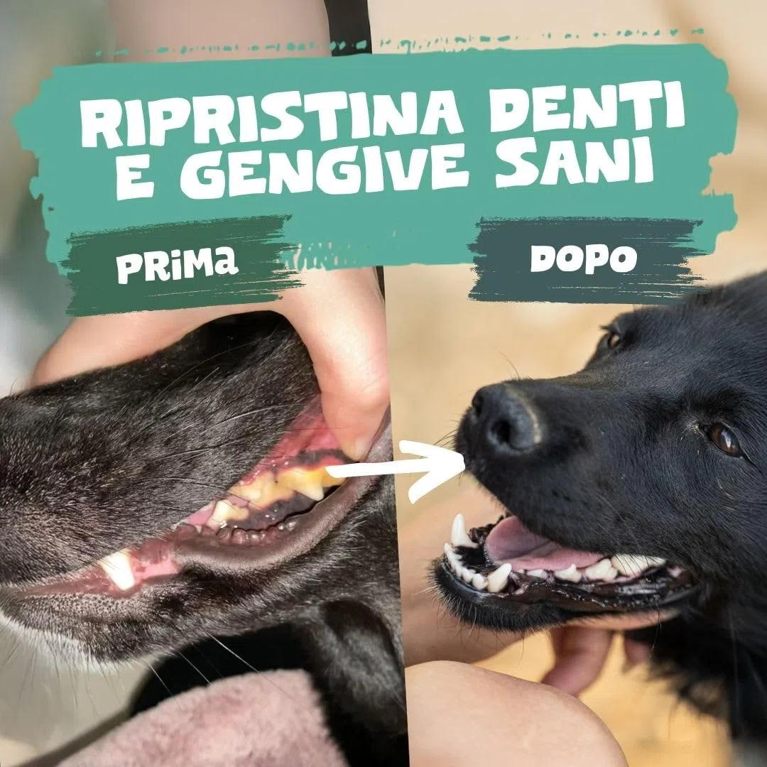 Pets Purest 100% Naturale Rimozione della Placca e del Tartaro (185g) per Cani, Gatti e Animali Domestici. Impedisce l'accumulo di placca e Il tartaro rinfresca l'alito previene Problemi alle Gengive