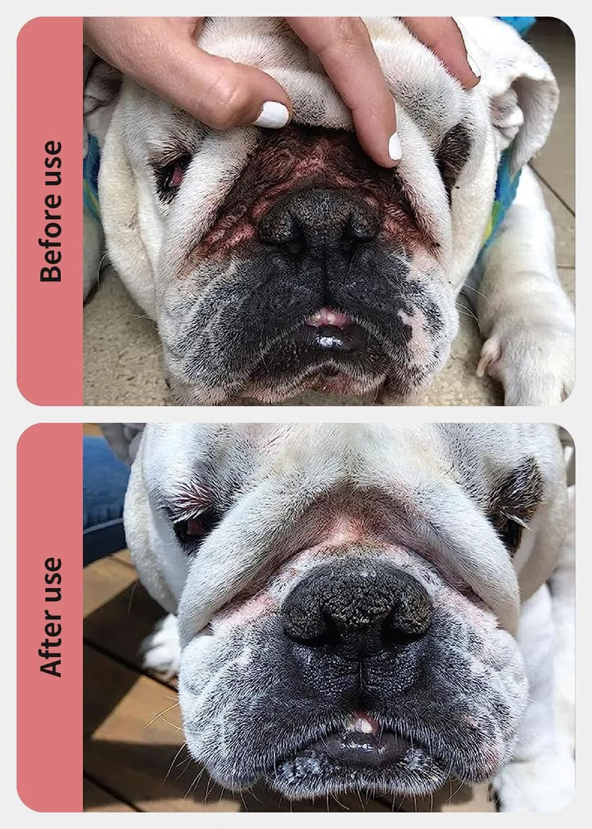 Salviette Antirughe + balsamo Antirughe per Cani | Bulldog, Bulldog Francese, Carlino, Bulldog Inglese | Pulisce e lenisce Rughe, Pieghe, Macchie di Lacrime, Tasche della Coda e Zampe
