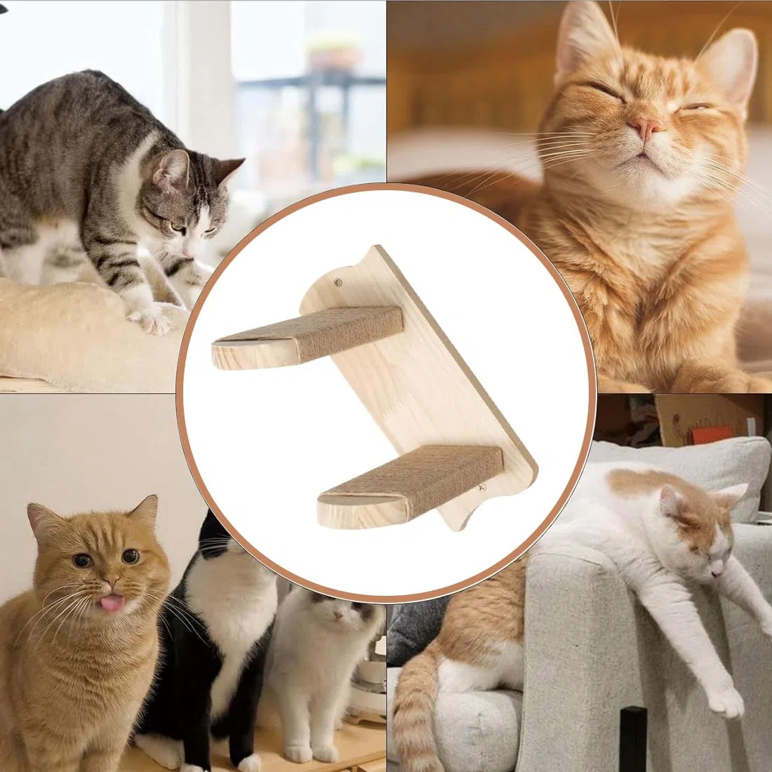 Scaletta per Gatti, Mensole Montata a Parete per Gatto, Scala per Gatti Mobili 2 Passi in Legno Coperto di Corda di Juta, Scaffale per Arrampicata