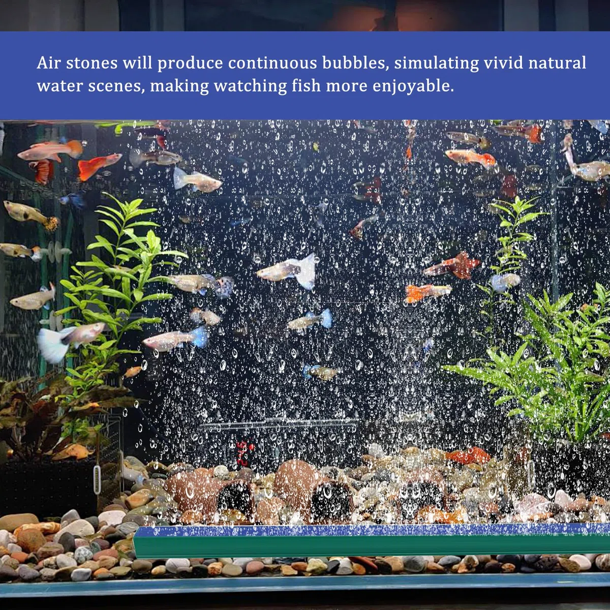 6 Pezzi Aria per Acquario Air Stone per Acquario Acquario Bubble Air Stone Pietra di Scarico per Acquari Barra Diffusore di Ossigeno con 2 Pezzi Tubo per Acquario Fish Tank Pompe d'Aria