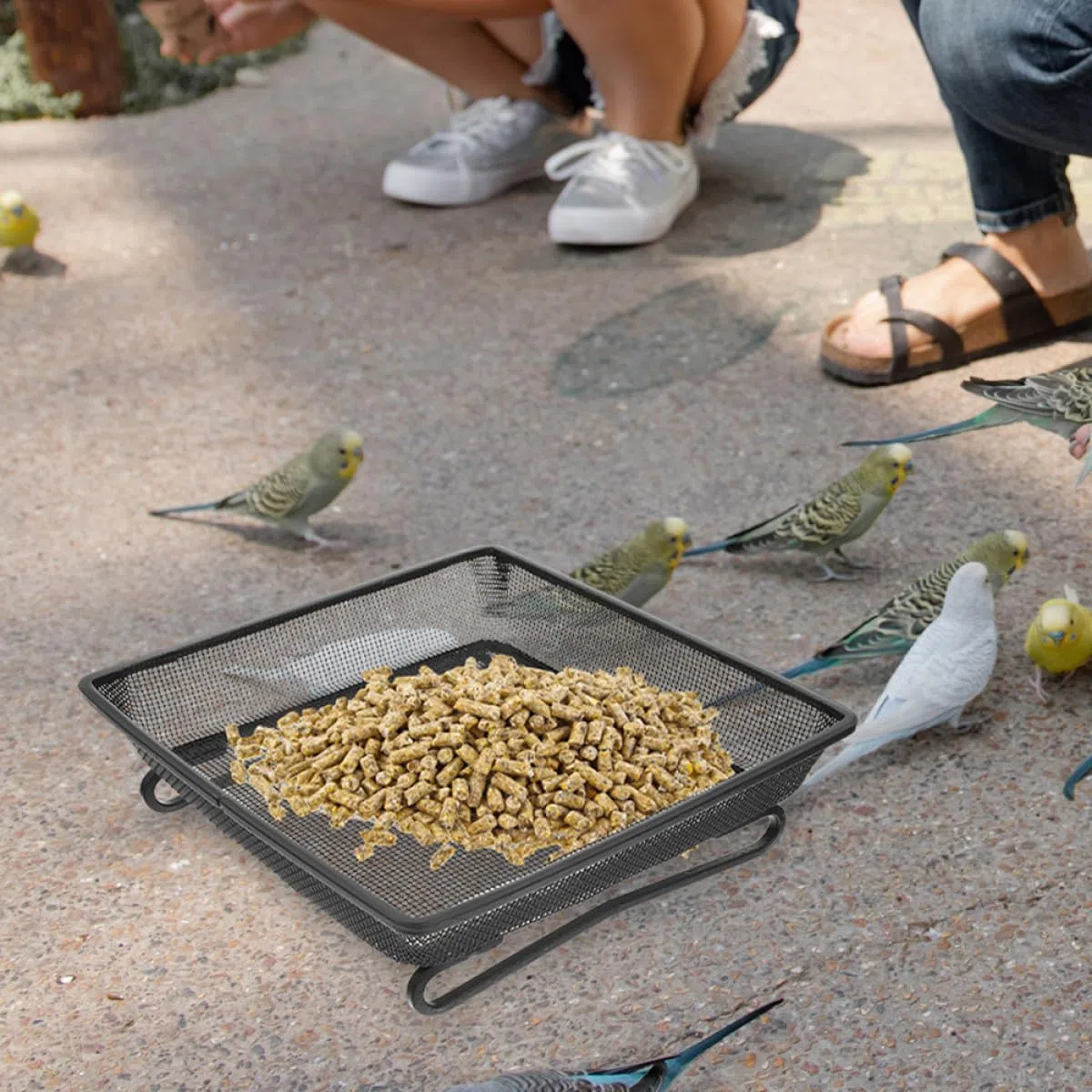 DOITOOL Mangiatoia Uccelli Selvatici da Terra in Acciaio Inossidabile Resistente alle Intemperie Vassoio Quadrato in Metallo per Giardino Esterno e Cortile