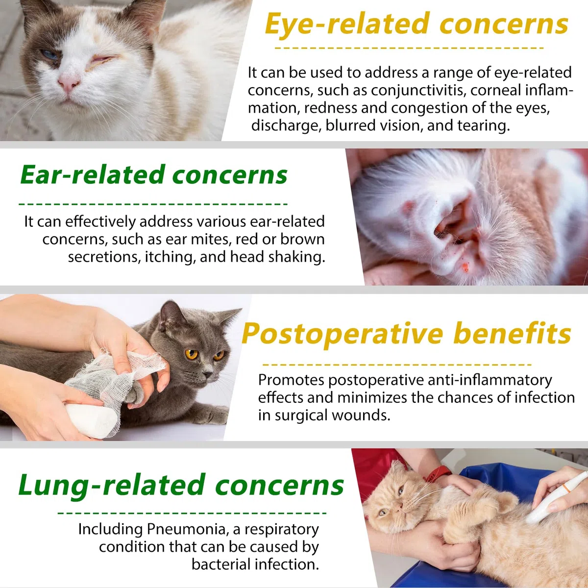 Antibiotici per gatti,Antibiotici per gatti da 60 ml per infezioni,Antibiotici naturali per gatti,Antibiotico per animali domestici per alleviare le allergie,Supporto del sistema immunitario,Forniture
