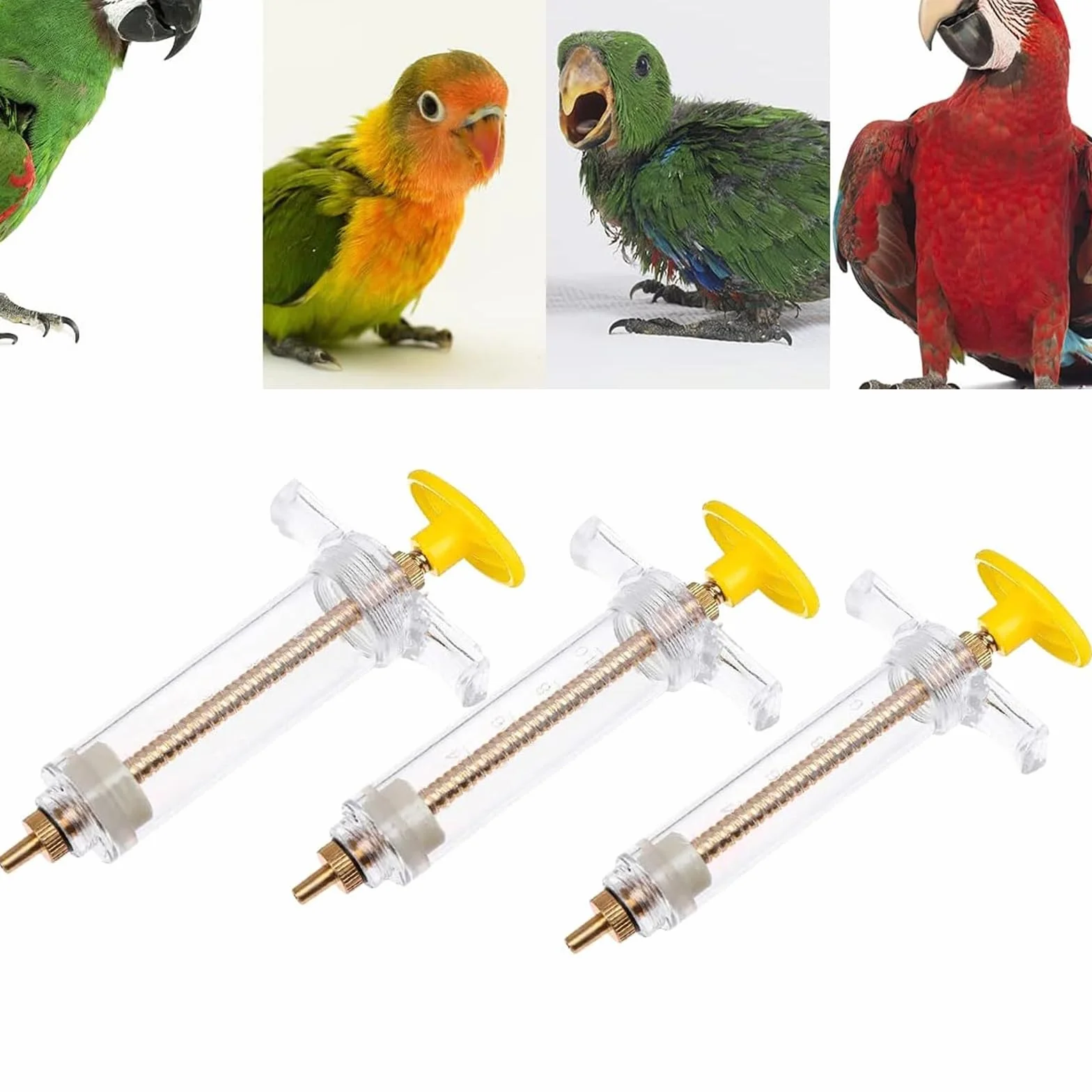 Sarini mangime per Uccellini da 3 Pezzi,3 cucchiai per l'alimentazione,6 Tubi con sonda Curva,per Uccellini da Compagnia,pappagalli,Latte e Medicine (20 ml,10 ml,50 ml)