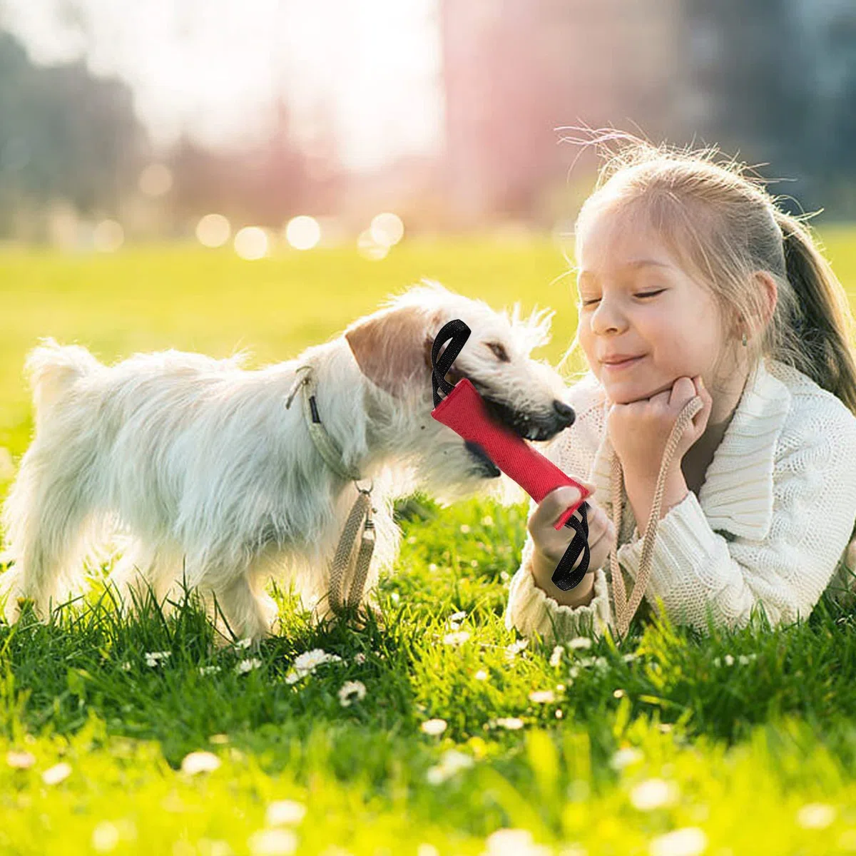 Massaggiagengive per cani,Giocattolo per rimorchiatore per cani,Tirare il Massaggiagengive per cani con 2 manici forti,Giocattolo interattivo durevole per tirare il cane da addestramento,Tug