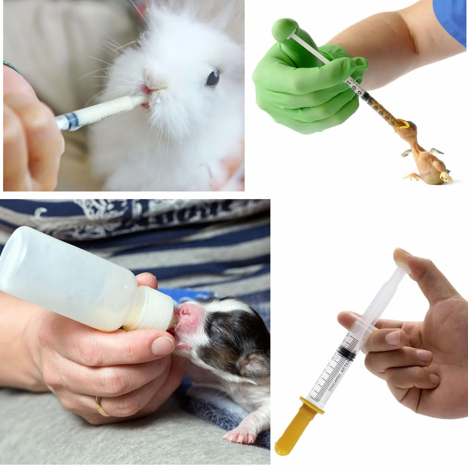 Biberon Gattini, Kit per l'alimentazione della siringa per Cuccioli, Gattini, scoiattoli e Altri Animali Appena Nati, Confezione da 18