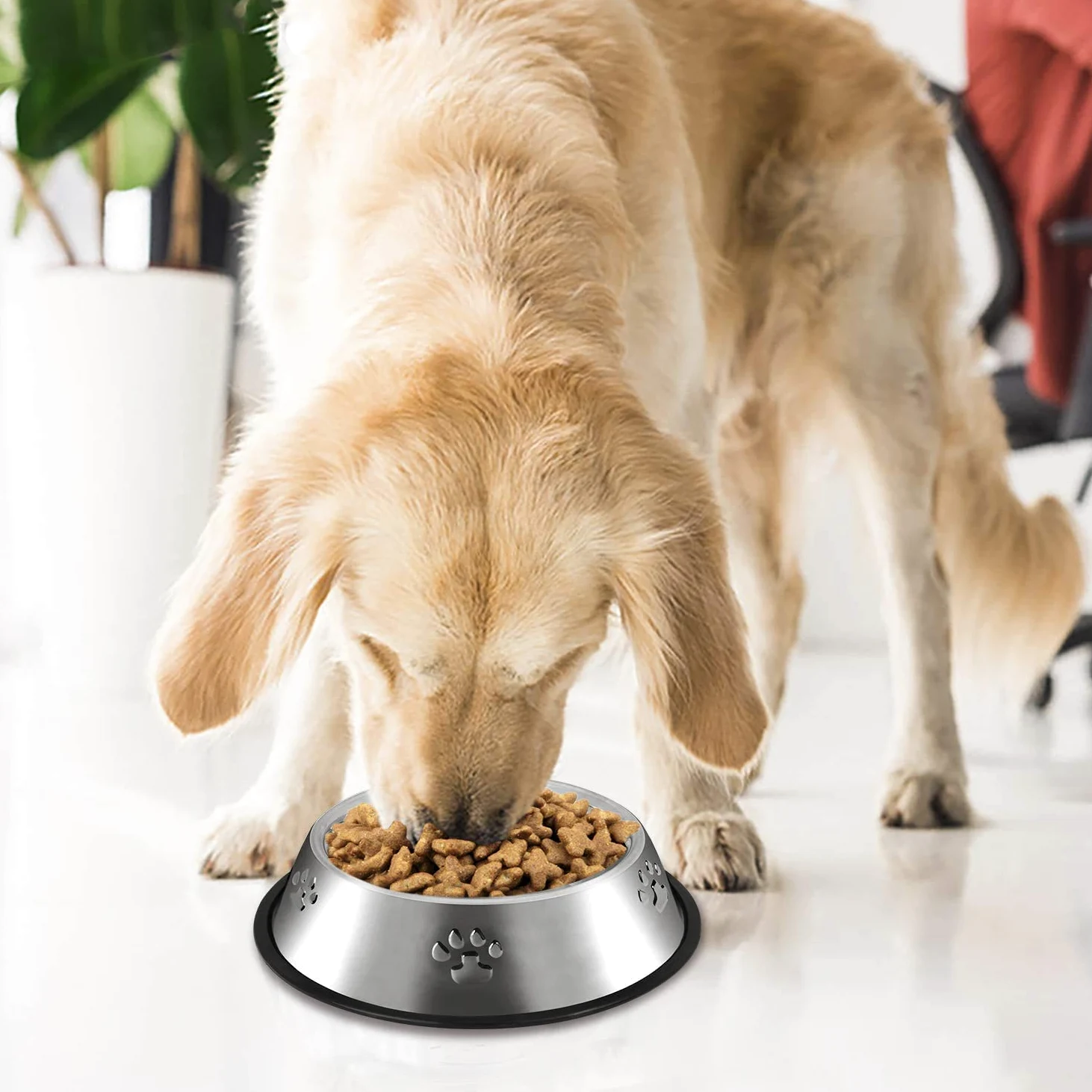Ciotole per Cani in Acciaio Inox - Base in Gomma Antiscivolo, Ciotola Media e Grande per Animali Domestici, per Cibo e Acqua (M, 22 cm)