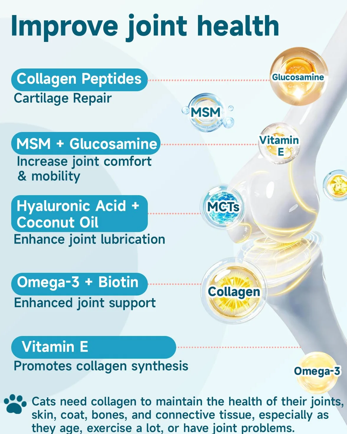 Eagou Diary Collagene per Gatti - Supplemento per Articolazioni e Flessibilità, Salute della Pelle e del Pelo, MSM, Glucosamina, Olio di Cocco, Vitamina E, Supporto Immunitario, 60ml