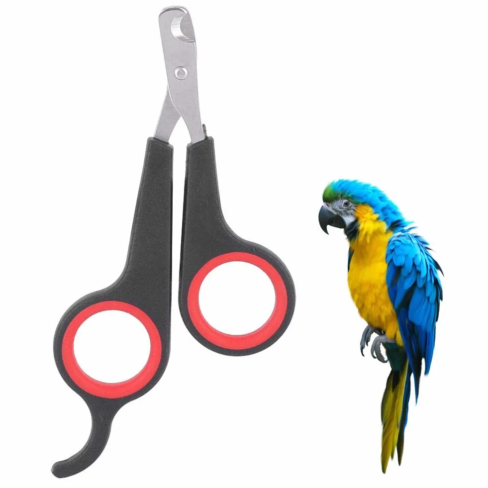 GOTOTOP Tagliaunghie per animali di piccola taglia, tagliaunghie e tagliaunghie strumento per toelettatura per uccelli, pappagalli, gattini, conigli
