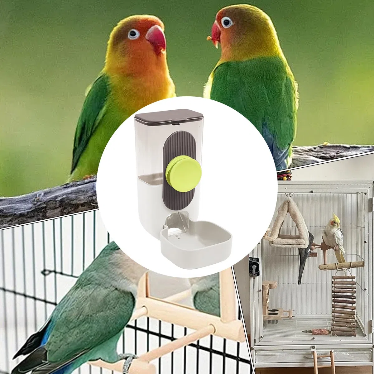 Distributore di acqua per uccelli – Abbeveratoio automatico trasparente per uccelli | Dispenser di cibo per pappagalli per calopsitte, piccioncini e pappagallini