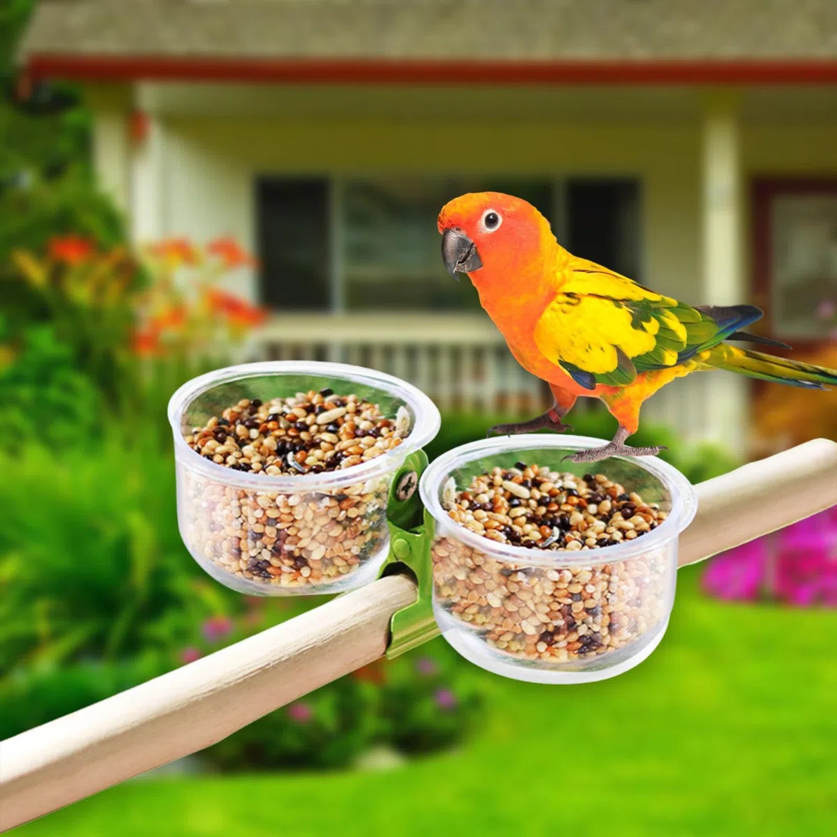 Ciotole per mangime per pappagalli mangiatoie per uccelli Gabbia d'acqua Ciotole con morsetto per parrocchetti grigi africani calopsitte
