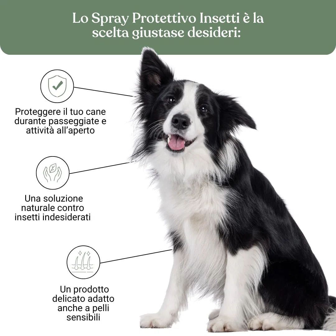 Bau Repellente Spray Zanzare, Pulci e Zecche per Cani Naturale con Olio di Neem, Repellente Zecche Spray, Antiparassitario Cani Naturale, Antizanzare per Cani con Oli Essenziali Citronella e Geranio