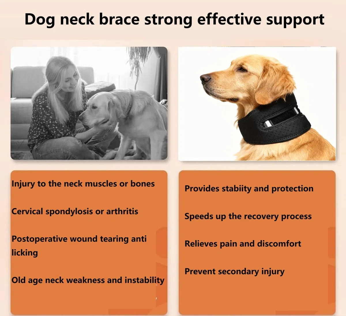 Collare Cervicale per Animali Domestici per Cani e Gatti, Tutore per il Collo per Sollievo dal Dolore, Protezione per Ferite e Guarigione, per Artrite o Lesioni Cervicali, Aiuta a Recuperare