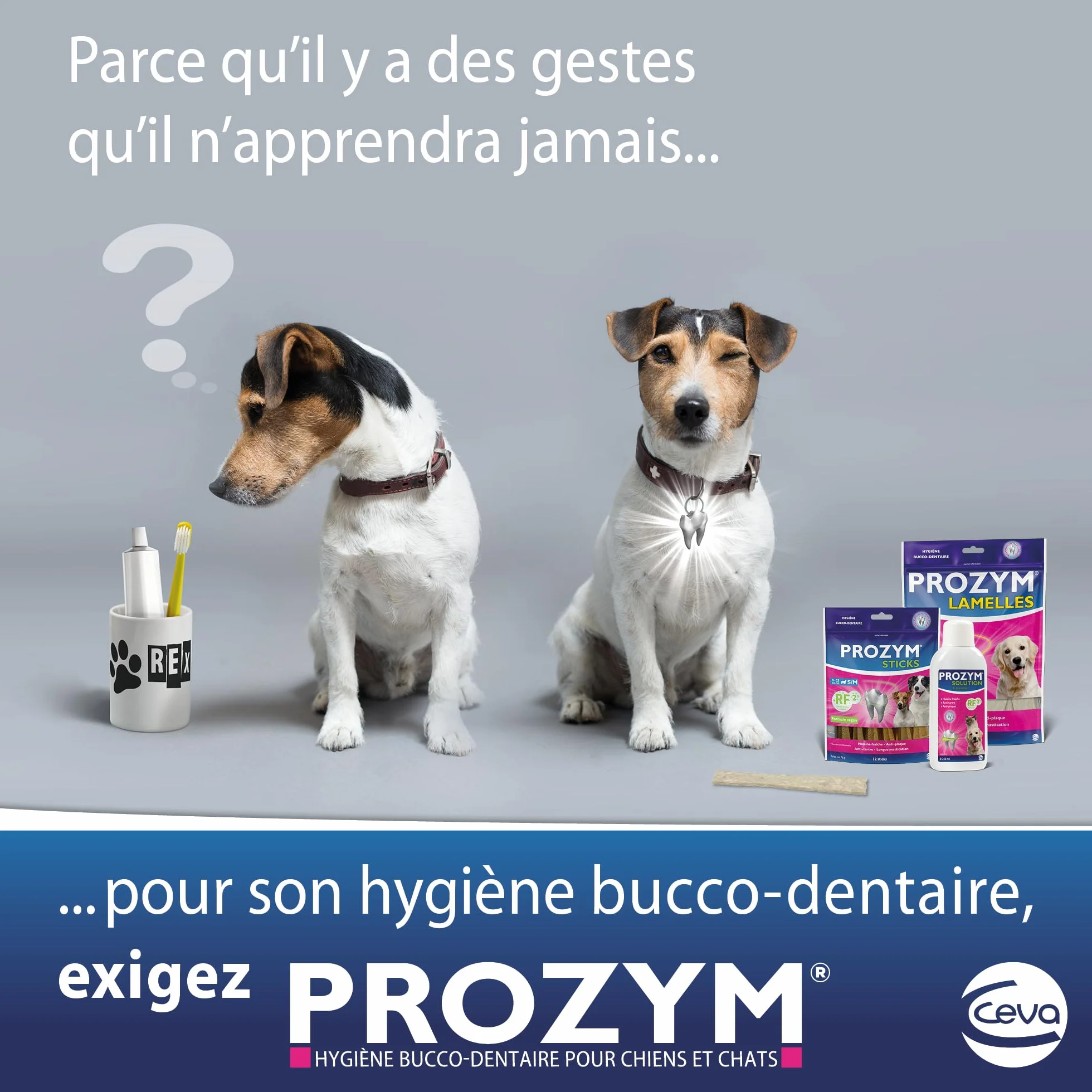 Prozym - Soluzione dentale diluente per cani e gatti - N. 1 nei veterinari - Alito fresco - Anti-tartaro - Anti-placca - Gengive sane