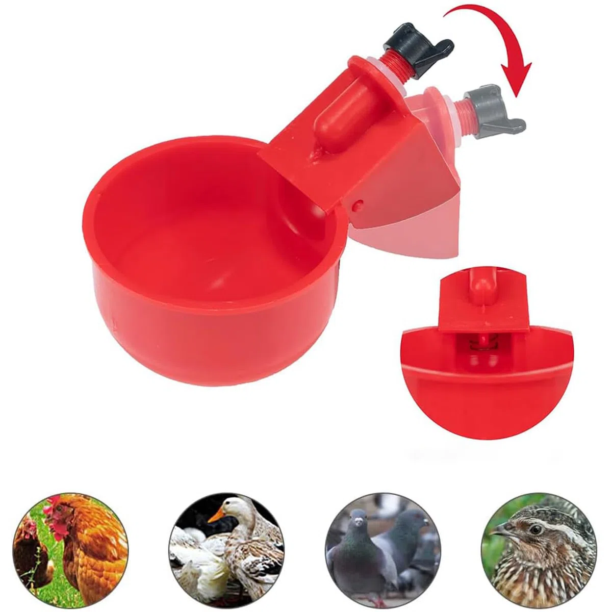 10 Pezzi Bevitori Automatici Pollo Ciotole in Plastica Automatico Pollo Bevitore Tazze Abbeveratoio per Galline con Trapano Abbeveratoio Galline DIY Kit per Uccelli, Piccioni, Polli, Anatre